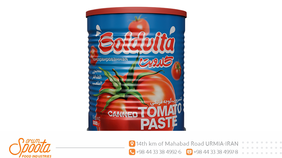 goldvita tomato paste 800 gr