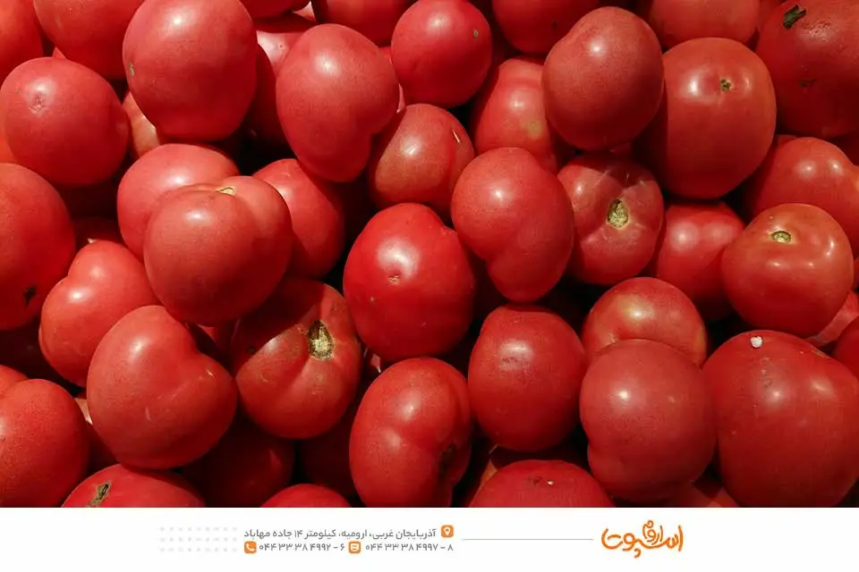 تفاله-گوجه-فرنگی-چیست