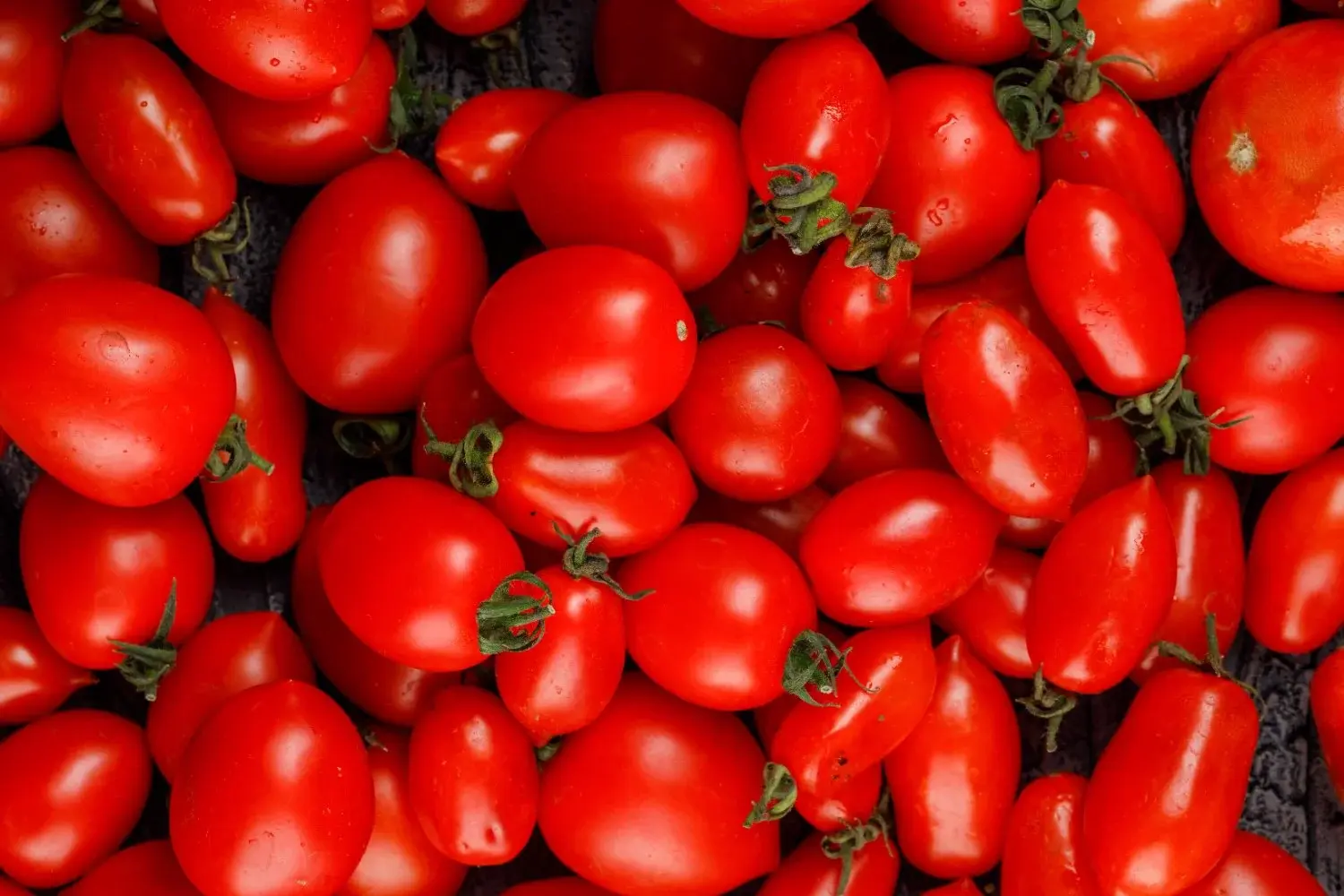 رب گوجه فرنگی یا سس گوجه؟