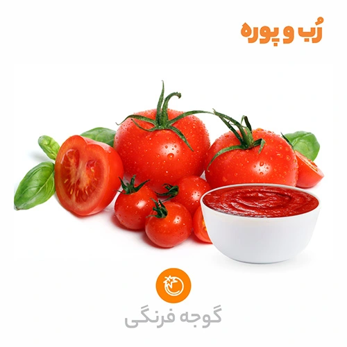 رب گوجه فرنگی بریکس 26