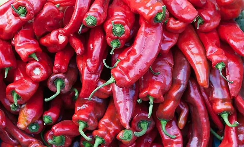 پوره فلفل قرمز